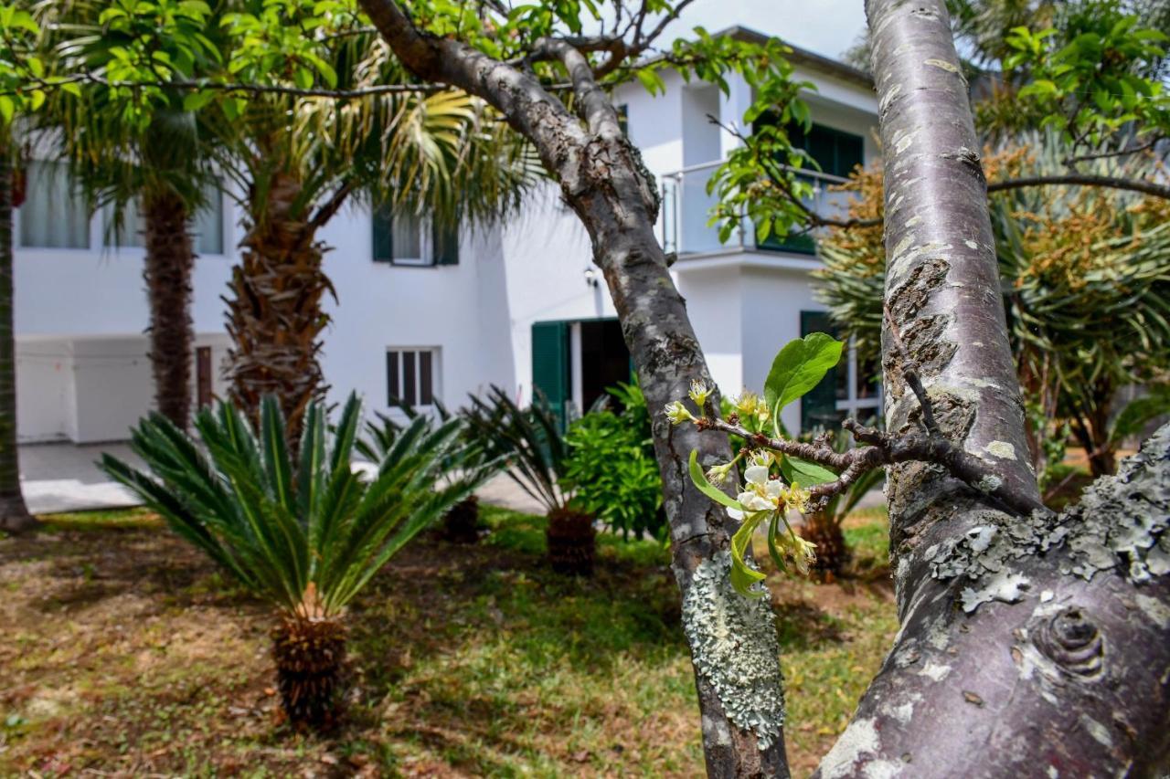 Casa Do Cantinho Do Muro São Vicente Exteriér fotografie